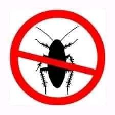 No pests — eco friendly pest control