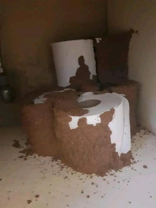 Severe termite damage to a toilet and bathroom